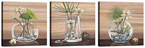 LuxHomeDecor Quadri Vaso Piante 3 Pezzi 30x30 cm Stampa su