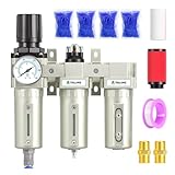 TAILONZ PNEUMATIC