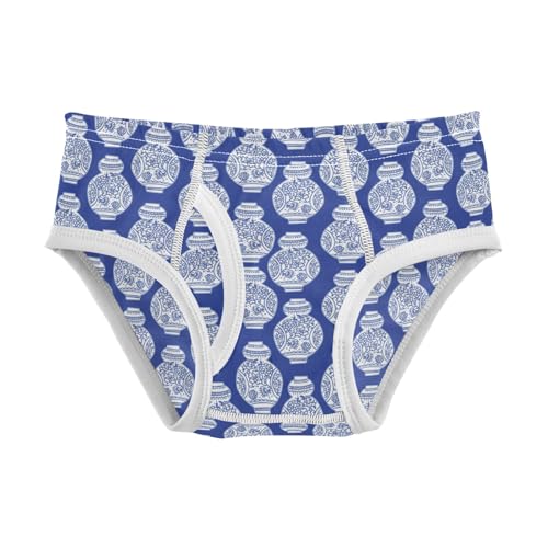 Boys' Exclusive Briefs Toddler Underwear 95% Combed Cotton Boxerbriefs 2T Blue and White Vase Pattern 8