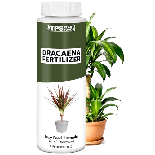 Dracaena Fertilizer – Liquid Plant Food for Rich Green Leaves & Strong Cane Growth, 8 oz