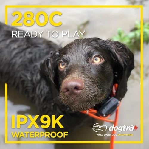 Dogtra Canada 280C Waterproof 127-Level Precise Control LCD Screen .80KM Remote Training Dog E-Collar - Image 6