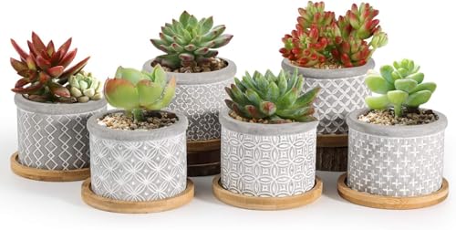 T4U 6cm Blumentopf Klein, Sukkulenten Töpfe, Zement Pflanzentopf,...