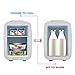 CAYNEL Mini Fridge Portable Thermoelectric 4 Liter Cooler and Warmer for Skincare, Eco Friendly Beauty Fridge For Foods,Medications, Cosmetics, Breast Milk, Medications Home and Travel