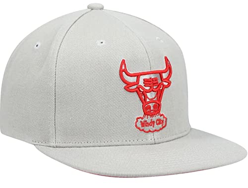 Mitchell & Ness Chicago Bulls Gorra Snapback Ajustable Gris miniatura 1