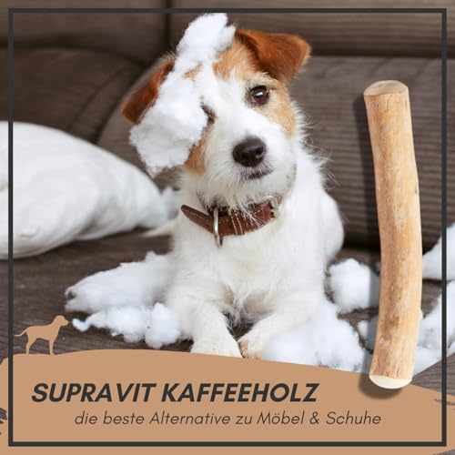 Supravit Natürlicher Kauknochen aus Kaffeeholz für Hunde S | Mehr als EIN Holzstäbchen - spannendes Hunde Kauspielzeug & langanhaltende Beschäftigung | Kaustab Kauholz