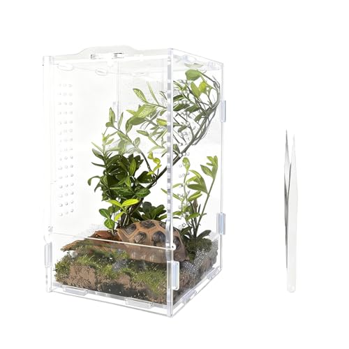 �A�N�����n�G�g���O�������n�e�����E��঒��ރJ�}�L�������n�J�G���G���N���[�W�������ȕ��i�{�b�N�X