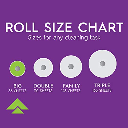Image of Viva Signature Cloth, Choose-A-Sheet - 6 Big Rolls = 9 Regular Rolls (78 Sheets Per Roll)