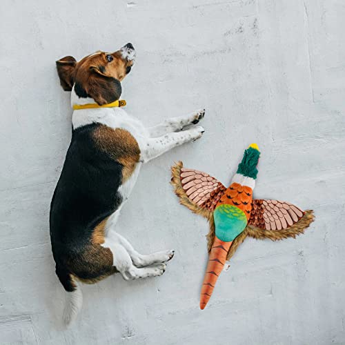 Image of BarkButler x Fofos Pheasant Bird Plush - Soft & Squeaky Toys for Dogs, Dog Toys for Medium Dogs (0-20kgs) - Brown