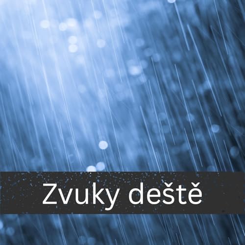 Zvuky de&scaron;tě cover art