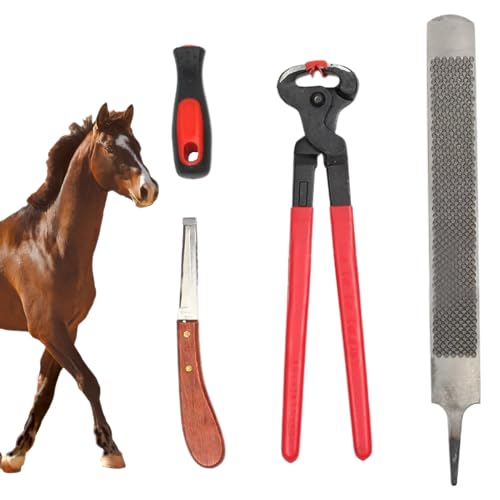 Entretien et tonte des animaux de ferme avec les outils de soin Schaf