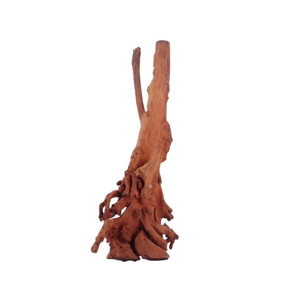AquaOne Aquarium Wurzel M Jungle Wood Nr.4457 Aquarium Wurzel Holz Deko Aquascaping Dekoration Landschaft Moos Natur Echtholz