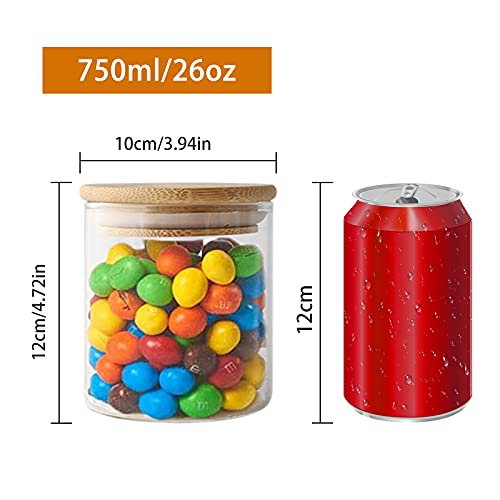 VINILITE Set di 4 Barattoli in Vetro con Coperchio...