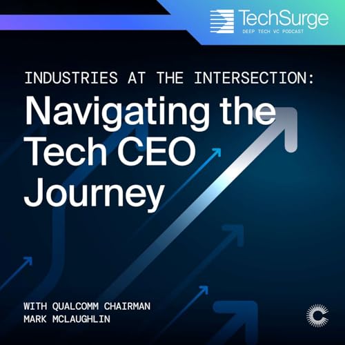 Page de couverture de The Tech CEO Playbook: Strategies for Success