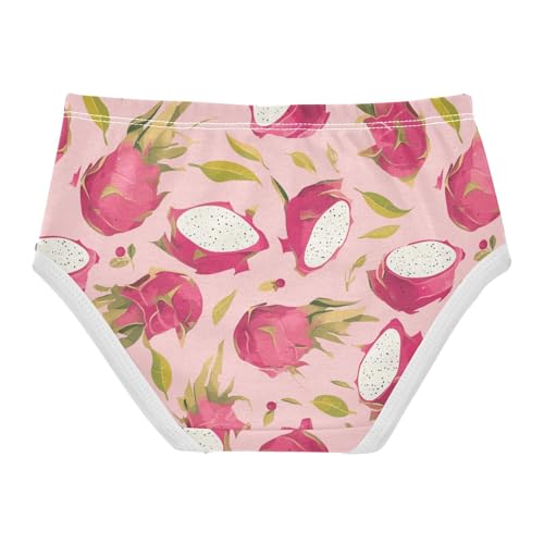 Wusikd Dragon Fruits Pink Girls' Underwear Cotton Girls Briefs Soft Toddler Underwear 2T2