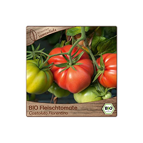 Samenliebe BIO Fleischtomaten Samen alte Sorte Costoluto Fiorentino süße Ochsenherztomate italienische Tomate 10 Samen samenfestes Gemüse Saatgut für Gewächshaus Freiland und Balkon BIO Gemüsesamen - Image 6