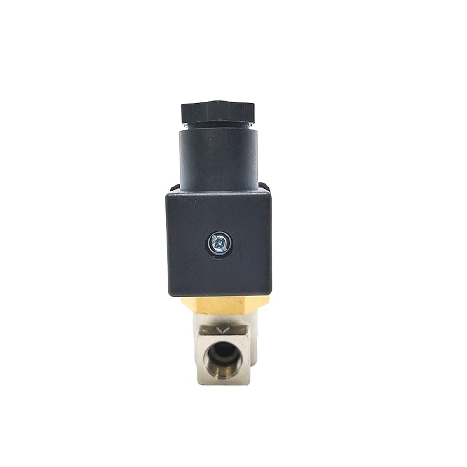 Elettrovalvola a solenoide for acido oleoso a 2 vie con corpo in acciaio inossidabile normalmente aperto da 1/4" AC220 DC12V(220)