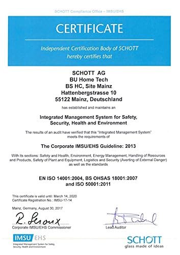 KRATKI Kaminglas Glas Ofenglas Hitzeschutzglas Kaminscheibe selbstreinigend 300 x 310mm