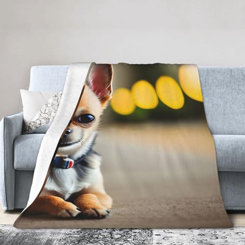 Chihuahua-Hunde-Motiv, ultraweiche Flanelldecke, Anti-Pilling, Mikro-Decken, Sofa, leicht, für alle Jahreszeiten