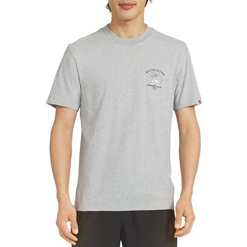 Quiksilver Men's Regular Fit Premium Soft Cotton Tee Short Sleeve T-Shirt, Grey, Small