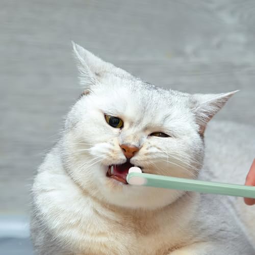 Image of Pet Oral Cleaning Toothbrush Set - Soft Bristle Toothbrushes for Cats Dogs and Rabbits - Care for Sensitive Teeth - 3 Pack