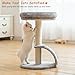 Goozii Small Cat Tree Tower with Scratching Post, Modern Kitten Tower for Indoor Cats, Short Carpet Sisal Cat Scratcher Stand with Large Bed Perch, Scratch Ramp, Toy Ball for Kitty Play (Grey)