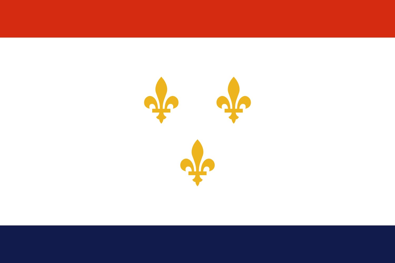 Drapeau Large Nouvelle-Orléans grand format de style paysage pour mât extérieur