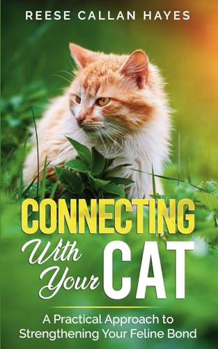 Connecting With Your Cat: A Practical Approach to Strengthening Your