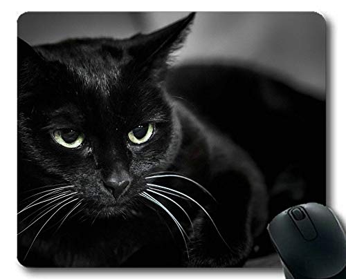 Preisvergleich Produktbild Mauspad, Katzenmauspad, Mauspad für Computer cat348