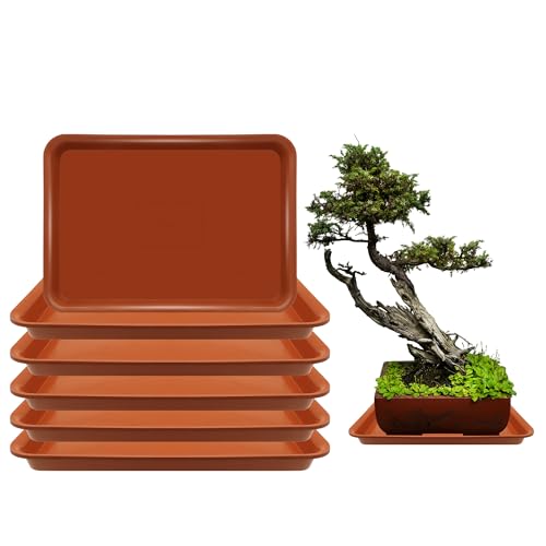 6 Pack Rectangle Plant Saucers for 7.8 Inch Pots - Indoor Outdoor Drip Tray for Planters - Plastic Planter Water Tray (Terracotta, 12.5