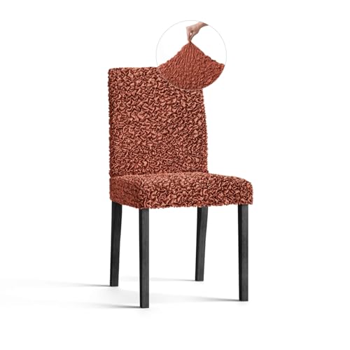 PAULATO - Housse de Chaise en Coton uni, Tissu bi-Extensible Anti-Griffes Lavable en Machine, Technologie WavyTech et certifié Oeko-TEX - Fabriqué en Italie