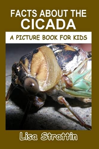 Facts About the Cicada (A Picture Book For Kids)