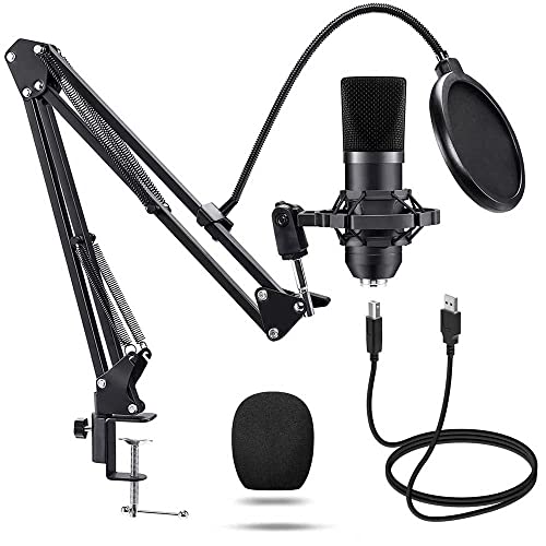 Best Voice Recording Microphone Expert Review The Modern Record
