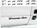 Trans Am Badge Overlay Decal - 93-02 Pontiac Firebird Trans Am - (Color Gloss Black)