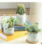 Maceta Diseño Diamante Redonda Maceta Pequeña De Plástico Para Cactus Y Suculentas – Diseño Con Diamantes, Ideal Para Decoración Interior Funda Samsung A55 5 G