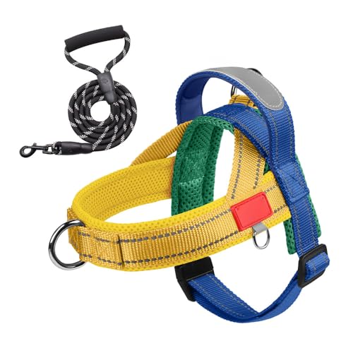 Tuyiutm ハーネス 引っ張り防止 夜間反射 調節可能 シンプル おしゃれ 柔らかい ナイロン 一体型 使いやすい 通気性 丸ロープ 1.5M 人気 喉に優しい お散歩やトレーニングに最適 夏に最適 小型犬 中型犬 大型犬 柴犬 秋田犬 メッシュ素材