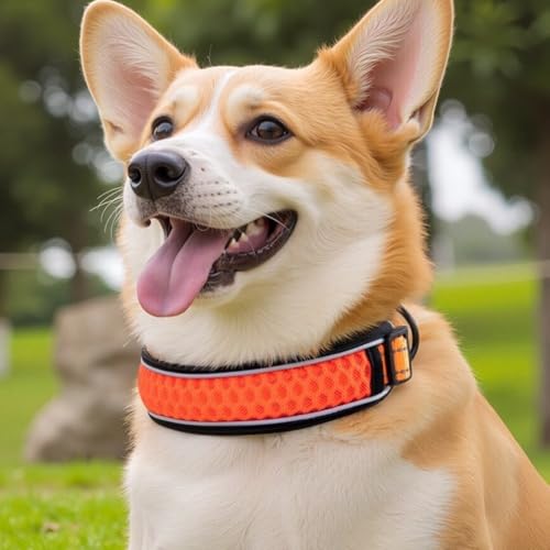Collar reflectante para perro con neopreno suave XS miniatura 4
