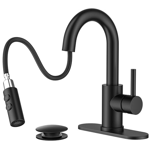 FORIOUS Bathroom Faucet 1 Hole Single Handle with Pull Down Sprayer Black