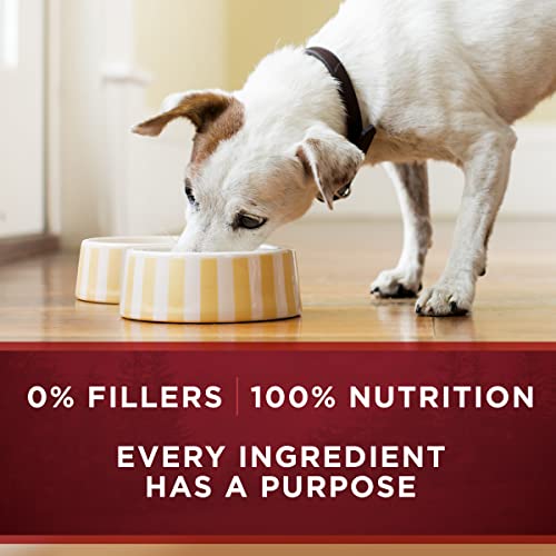 Purina ONE True Instinct Grain Free Wet Dog Food Variety Pack, (6) 13 oz - image 9