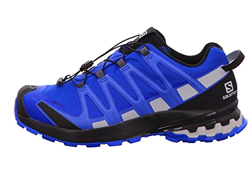 Image of Salomon Men's XA Pro 3D V8 GORE-TEX Trail Running Shoes
