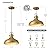 ALAISLYC Gold Farmhouse Pendant Lights Matte Pendant Lighting for Kitchen Island Industrial Adjustable Height Vintage Dome Hanging Light Fixtures for Barn, Dining Room 2 Packs