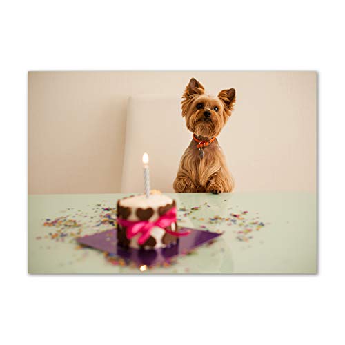 Dosseret en verre 100x70 Tulup de sécurité trempé avec motif violet de chien et gâteau