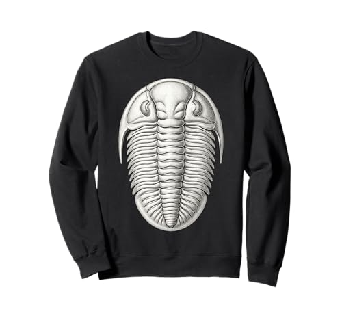 Neseuretus Trilobite Fossil ? �I���h�r�X�I�Ð����w�A�[�g �g���[�i�[