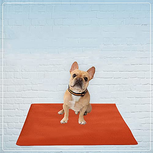 Image of Trance Waterproof Pet Training Pads | Reusable Pee Pad for Dogs Cats Puppy and Pets | Washable Pet Dry Sheet | Potty Trainer | Soft and Hypo-Allergenic (Medium, Size 1 x 0.7 m | 100 x 70 Cms, Brick Red)