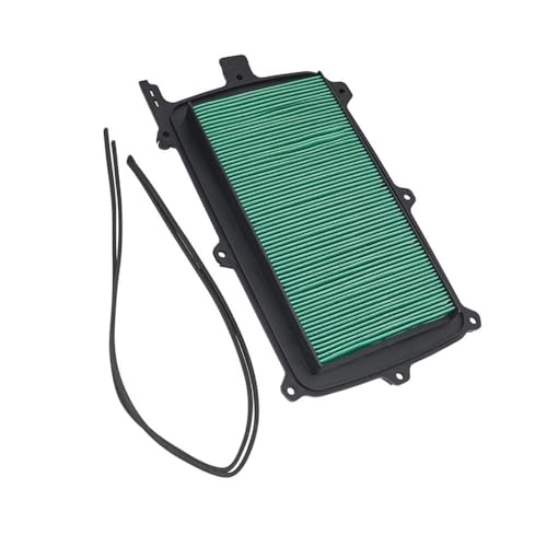 Filtro limpiador de motocicletas 1000X y 1000R recambio 17215-HL6-A00