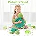 gnomantic 5 Pieces Turtle Stuffed Animals - 1 Mommy Stuffed Turtle with 4 Babies - Tortoise Gifts for Girls Age 3-8, Tortoise Plush Toys for Christmas, Valentine's, Birthday Gifts