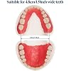 Product Photo 5