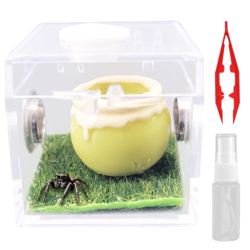 ANWvXpC_[P[X ~jWvXpC_[ ^`P[X }gbNXʋCEt X^C3