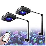 【Modo di appendere】Fornito con kit di sospensione. La distanza di sospensione consigliata tra la luce e la superficie dell'acqua è di 20 cm. La diffusione massima è di 76 x 76 cm. 2 luce è adatta a una vasca marina di 80-120 cm.