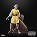STAR WARS The Black Series Jedi Knight Yord Fandar, The Acolyte Collectible 6 Inch Action Figure