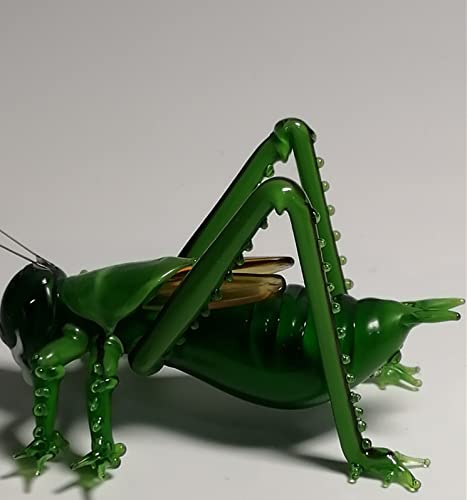 Amazon.com: Zmhkk Hand-Made Simulation Locust/Glass Grasshopper
